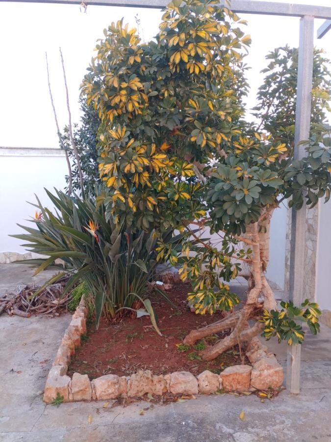 Villa Simonetta أليستي المظهر الخارجي الصورة