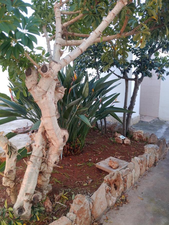 Villa Simonetta أليستي المظهر الخارجي الصورة